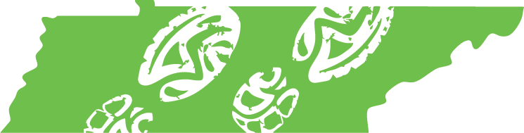 Green state of Tennessee with white footprints across it
